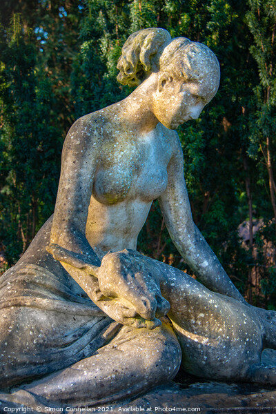 Diana Statue, Wimbledon Common Picture Board by Simon Connellan