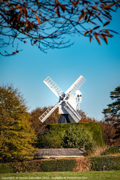 Wimbledon Common, Windmill Picture Board by Simon Connellan