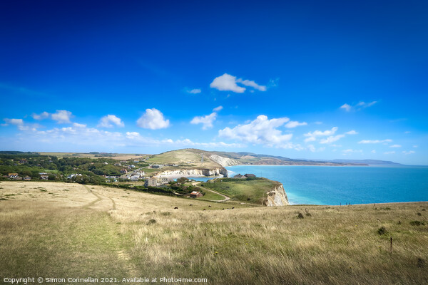 freshwater bay Isle of Wight coast Picture Board by Simon Connellan
