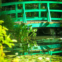 Buy canvas prints of Monets Garden Water Lilies  by Simon Connellan
