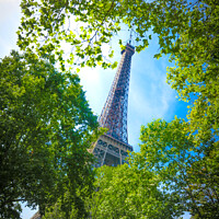 Buy canvas prints of Eiffel Tower, Paris by Simon Connellan