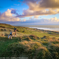 Buy canvas prints of Daisy Dog at Ogmore Beach by Simon Connellan
