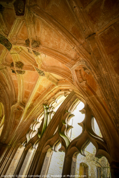 Lacock Cloisters Picture Board by Simon Connellan