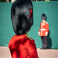 Buy canvas prints of Grenadiers on the Mall by Simon Connellan
