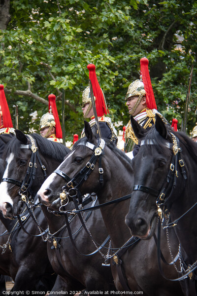 Horseguards, London Picture Board by Simon Connellan