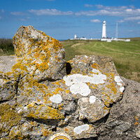 Buy canvas prints of The sign of the Wales Coast Path by Simon Connellan