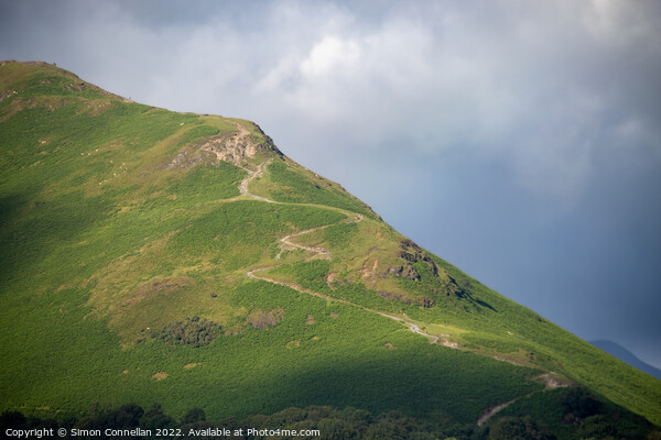 Climbing Catbells, Derwentwater Picture Board by Simon Connellan