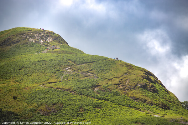 Nearing the top, Catbells Picture Board by Simon Connellan