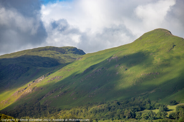 Looking to the top of Catbells Picture Board by Simon Connellan