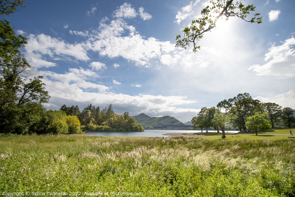 Catbells and Derwentwater Picture Board by Simon Connellan