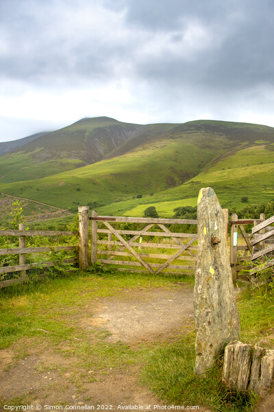 Gateway to Skiddaw Picture Board by Simon Connellan