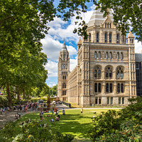 Buy canvas prints of Natural History Museum by Simon Connellan