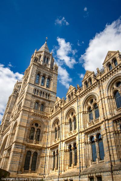 Natural History Museum Picture Board by Simon Connellan