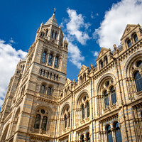 Buy canvas prints of Natural History Museum by Simon Connellan