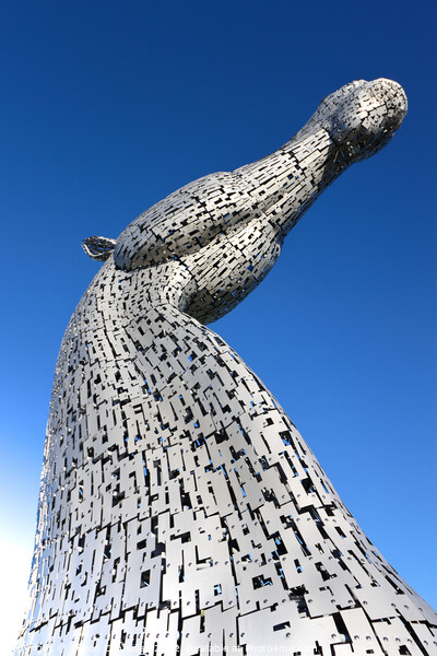 The Kelpies, Falkirk Picture Board by Simon Connellan