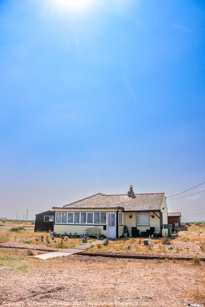 Dungeness  Picture Board by Simon Connellan
