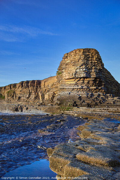 Nash Point, South Wales Picture Board by Simon Connellan