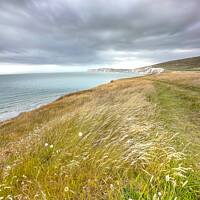 Buy canvas prints of Compton Bay, Isle of Wight by Simon Connellan