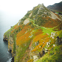 Buy canvas prints of Valley of the Rocks. Lynmouth, Exmoor. by David Cross