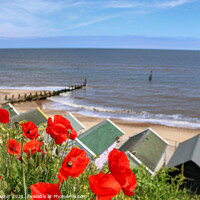 Buy canvas prints of Poppy Promenade Views at Southwold by Laura Baxter