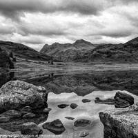 Buy canvas prints of Langdale Pikes from Blea Tarn by Denley Dezign
