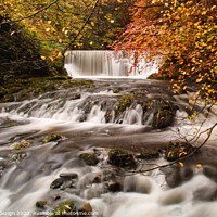 Buy canvas prints of River Brathy, on the way to Stockghyll force by Denley Dezign