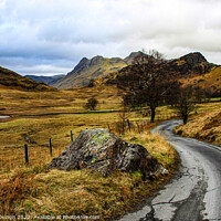 Buy canvas prints of langdale pikes, looking from blea tarn by Denley Dezign