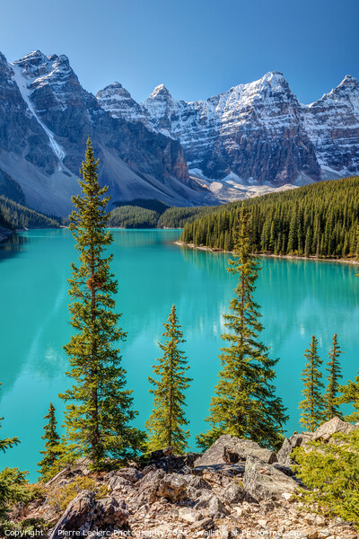 Blue Moraine Lake Picture Board by Pierre Leclerc Photography