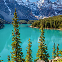 Buy canvas prints of Blue Moraine Lake by Pierre Leclerc Photography