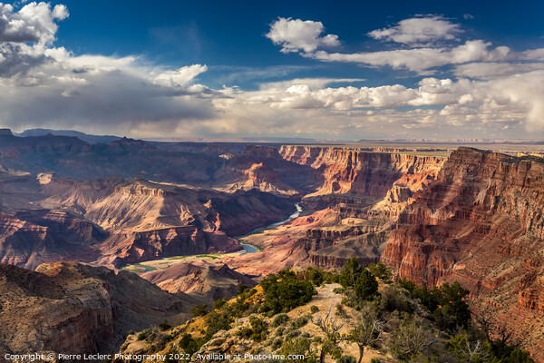 Colorado River In Grand Canyon Picture Board by Pierre Leclerc Photography