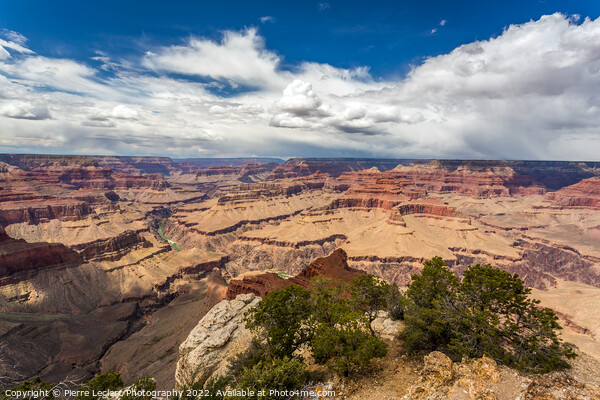 The Vast Wonder of Grand Canyon Picture Board by Pierre Leclerc Photography