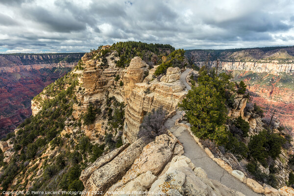 Bright Angel Overlook at the North rim of the Grand Canyon in Arizona, USA Picture Board by Pierre Leclerc Photography