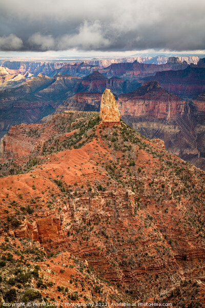 Imperial Point on the North rim of Grand Canyon Picture Board by Pierre Leclerc Photography