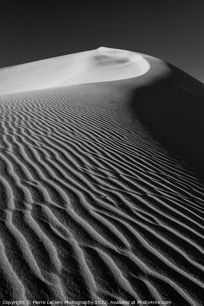 Sand Dunes Texture Picture Board by Pierre Leclerc Photography