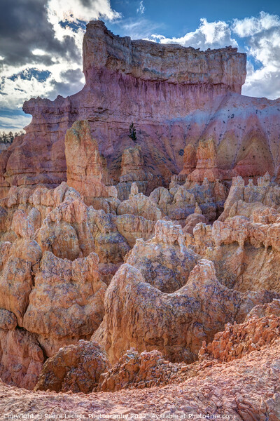 Bryce Canyon Rainbow Hoodoos Picture Board by Pierre Leclerc Photography