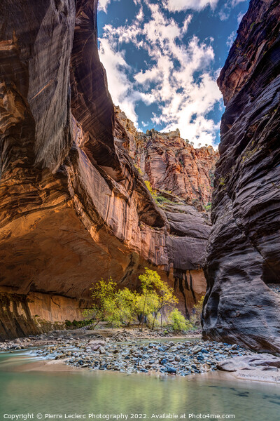 Walking in the Virgin river of Zion Picture Board by Pierre Leclerc Photography