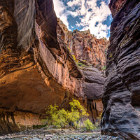 Buy canvas prints of Walking in the Virgin river of Zion by Pierre Leclerc Photography