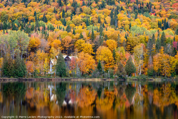 Cabin at the Lake in Autumn Picture Board by Pierre Leclerc Photography