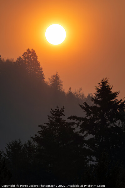 Sunrise over the Ridge Picture Board by Pierre Leclerc Photography