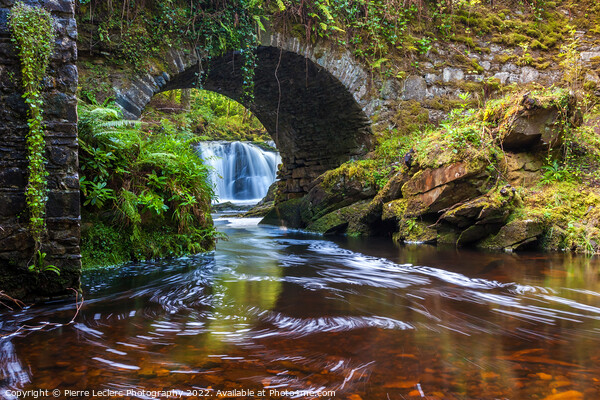 Lush River Killarney Ireland Picture Board by Pierre Leclerc Photography