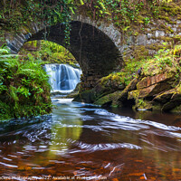 Buy canvas prints of Lush River Killarney Ireland by Pierre Leclerc Photography