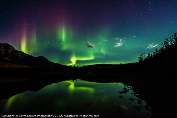 Northern Lights Magical Night Picture Board by Pierre Leclerc Photography