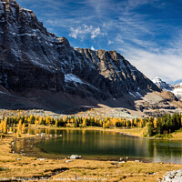 Buy canvas prints of The Golden Larch Trees of Hungabee Lake by Pierre Leclerc Photography