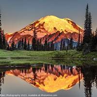 Buy canvas prints of Glowing Crown, Mount Rainier Majestic Sunset by Pierre Leclerc Photography