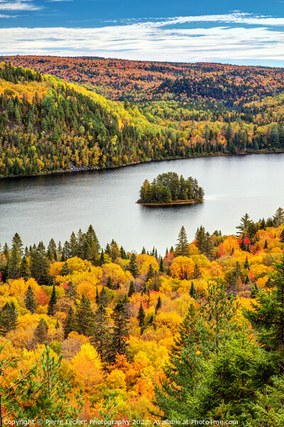 Autumn Forest Lake Landscape with a little Pine Island Picture Board by Pierre Leclerc Photography