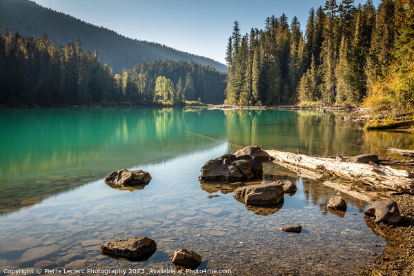 Afternoon Sunlight at Cheakamus Lake Picture Board by Pierre Leclerc Photography