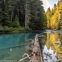 Buy canvas prints of Serenity of Cheakamus River in Whistler, BC by Pierre Leclerc Photography