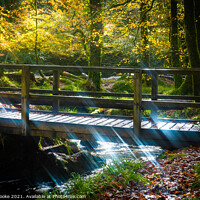 Buy canvas prints of Bridge Over The River Fowey | Golitha Falls by Adam Cooke