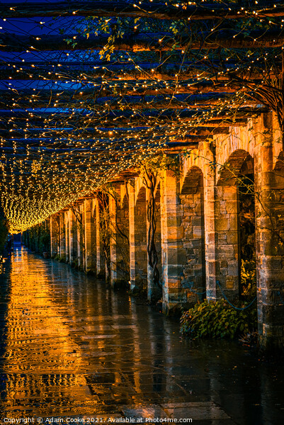 Tunnel of Light | Hever Castle Picture Board by Adam Cooke