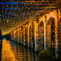 Buy canvas prints of Tunnel of Light | Hever Castle by Adam Cooke